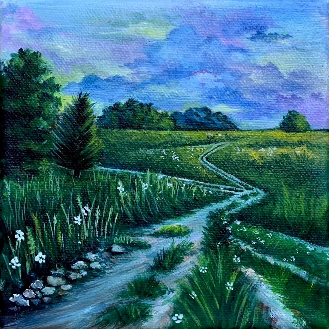 Windy Field